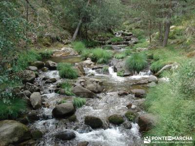 Valle del Lozoya - Camino de la Angostura;ruta pedriza montaña madrid